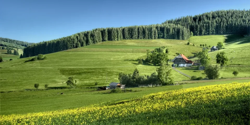 Mieszkanie w buku – idealne miejsce na wypoczynek w sercu natury