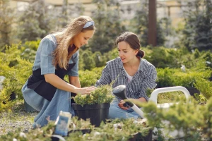 Benchmarking śladu węglowego: jak porównać swoją firmę z konkurencją