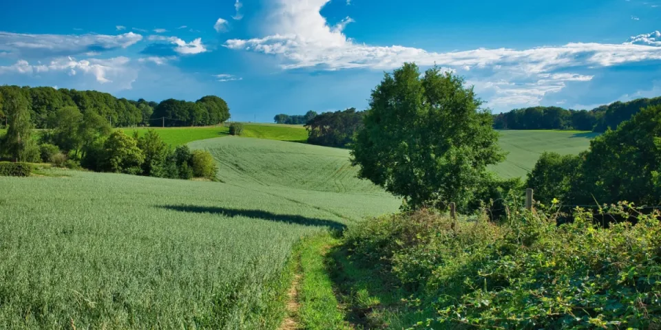 Kupię mieszkanie na Muranowie - Przewodnik dla kupujących